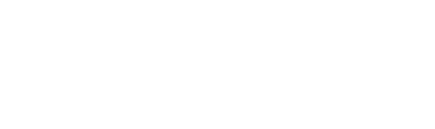 Rivver